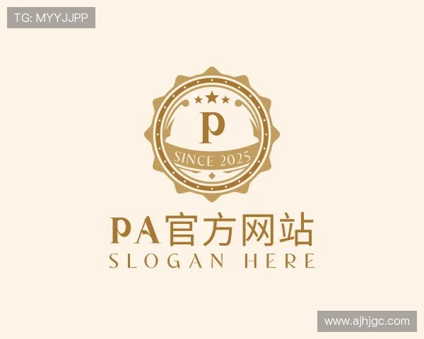 发现pa集团